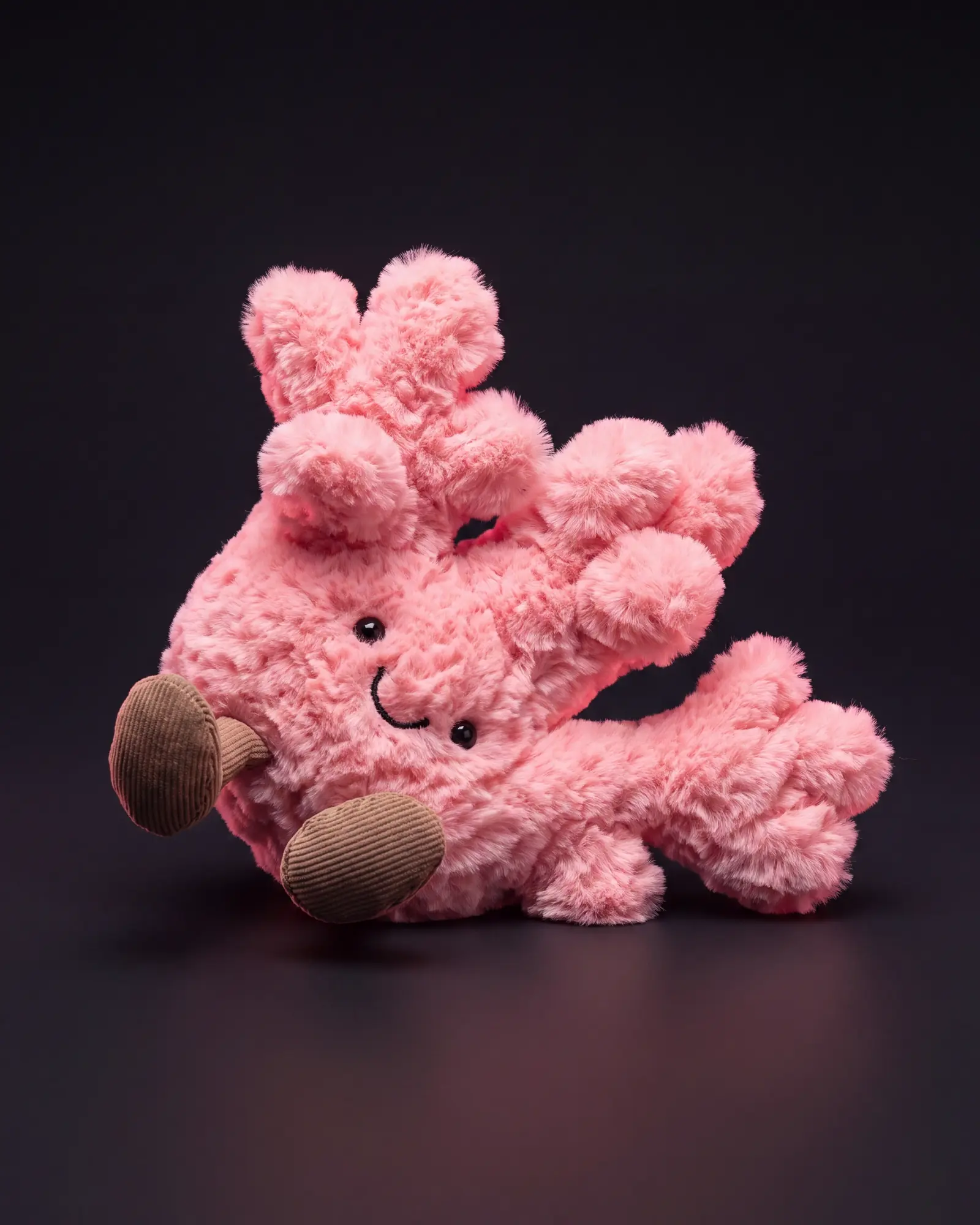 Amuseables Coral on a dark studio background.