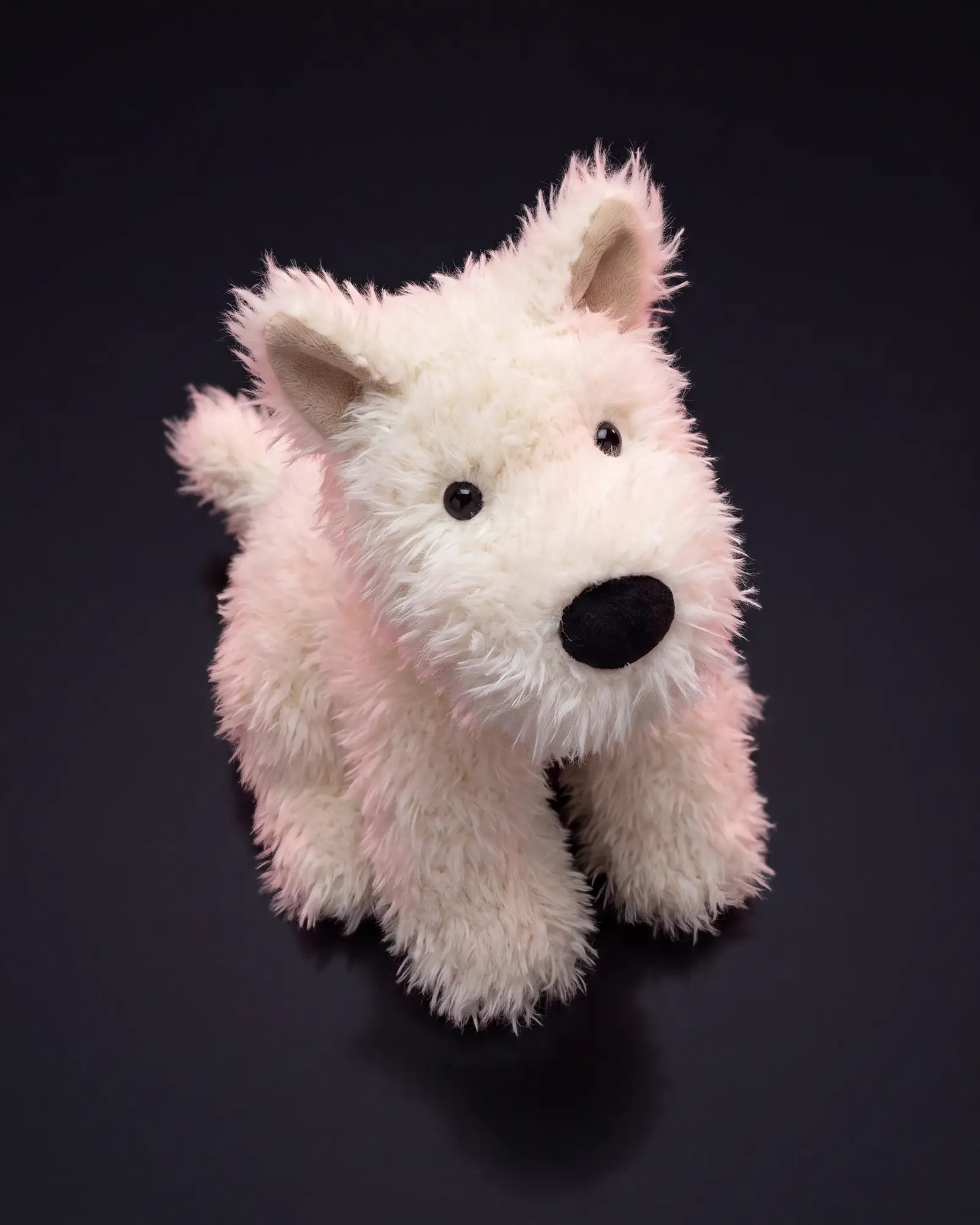 Munro Scottie Dog on a dark studio background.