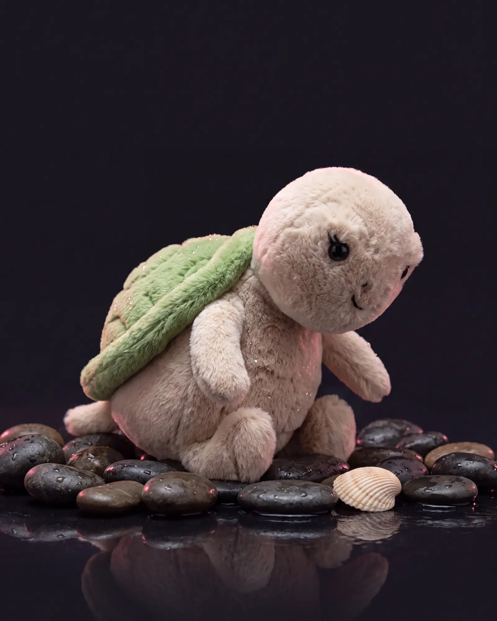 小烏龜 Thimble，第二張角度。